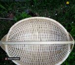 IMG-5109b1a8cf35157fe7062c326bbd13f0-V