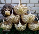 IMG-78ff9a454afebc05feeec5d70e7a5fb6-V