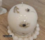 photo_5274096578681574144_y