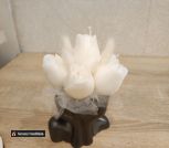 photo_5278593576944211318_y