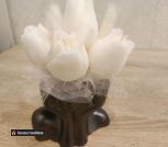 photo_5278593576944211320_y