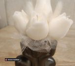 photo_5278593576944211321_y