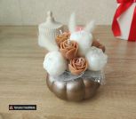 photo_5334651782149379323_y