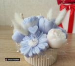 photo_5334651782149379318_y