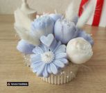 photo_5334651782149379319_y