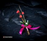 Верба 5_3f37f7f0-7d04-46bc-859d-259c2010d143