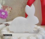 photo_5357372906469529225_y