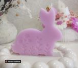 photo_5375276245714671033_y