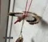 product-698422c04475503cf73980a8-0f58c0e8035204fbc26c86aec7dbb082-md