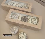 Рафаэлки 1-5