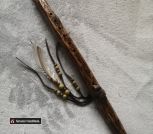 IMG_20260506_141942