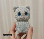 IMG_20260518_204838