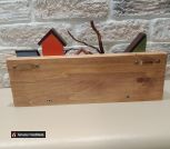 IMG_20260619_094449