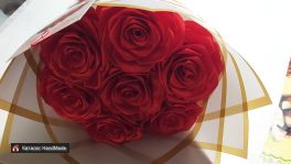 IMG_20260624_010248