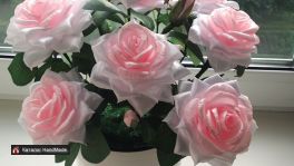 IMG-0dc779b9ba2c83178761b11c6343c3c8-V
