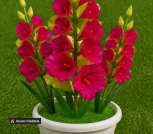 aipic-e1e98997