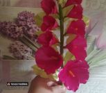 IMG_20260626_182616_360
