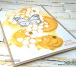 9ca08b42a510755165a79bb4842bc33c