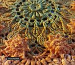 IMG_20260102_165524