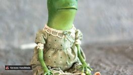 IMG_0005_1sq