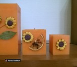 WP_20180811_16_13_36_Pro