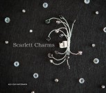 bf301d8fc47b5ebd68c756380a4500e0