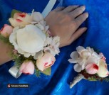 7984526162295026e62cfd55069c4a36