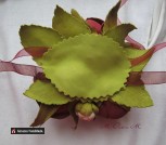 bed969d36466a22c9bf4092a21cc5d34