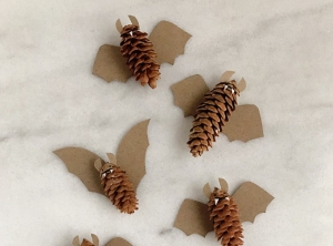 Летучие мыши из сосновых шишек